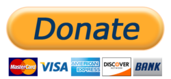 Donate Now PayPal NonProfit